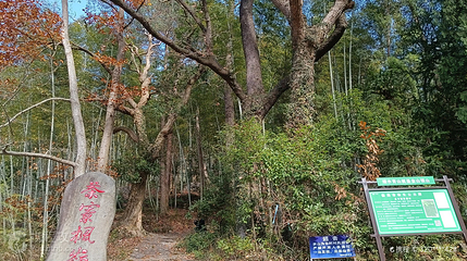茶辽古道第 3 张图片