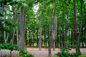 Parc de la Devesa