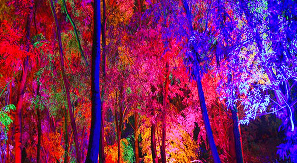 长白山梦幻森林峡谷