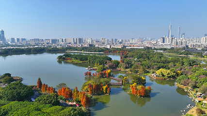 海珠国家湿地公园第 1 张图片