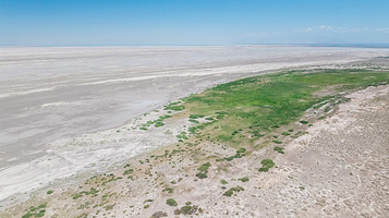 博尔塔拉艾比湖