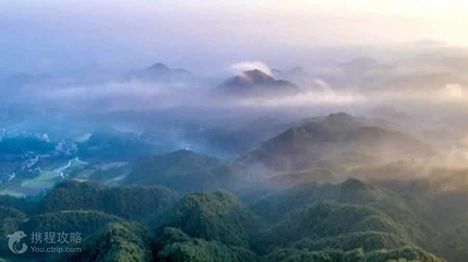 太阳坪映山红景区第 6 张图片