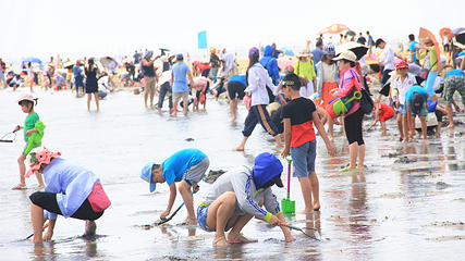 北海金海湾红树林生态旅游区第 31 张图片