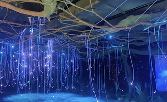 九莲禅武体验馆