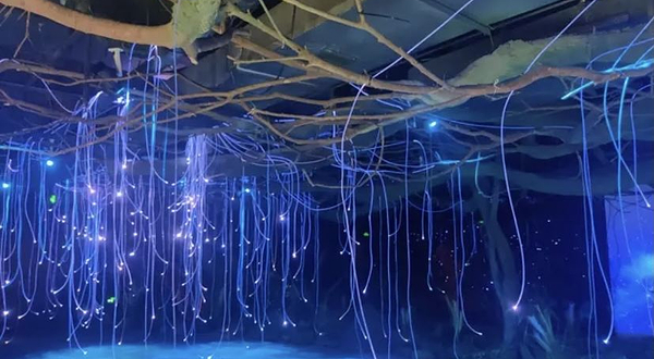 九莲禅武体验馆