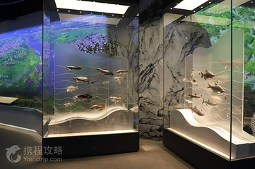 三宝文化展示中心第 3 张图片