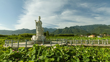 王莽乡千亩荷花