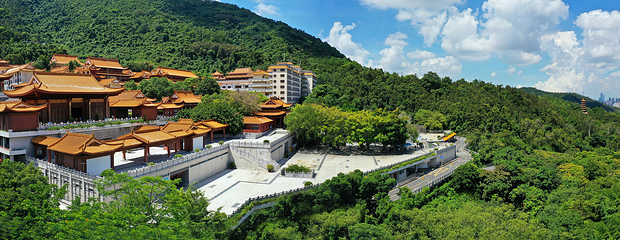 仙湖植物园第 22 张图片