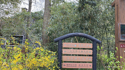 八仙花主题花园第 3 张图片