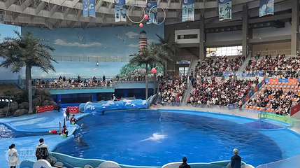 极地海洋馆第 4 张图片