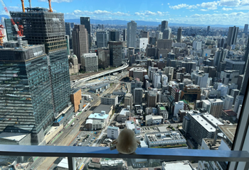 梅田蓝天大厦 空中庭园观景台第 10 张图片