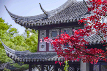 留园第 41 张图片