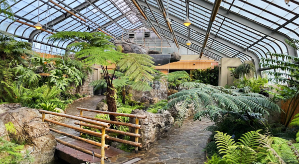 生命空间博物馆