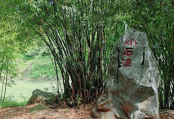 柳宗元文化旅游区第 13 张图片