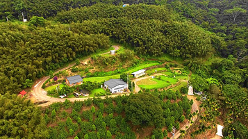 苗栗泰安 UP露营区