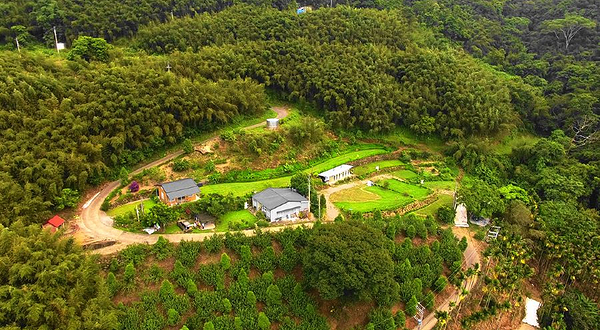 苗栗泰安 UP露营区