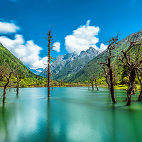四姑娘山长坪沟景区