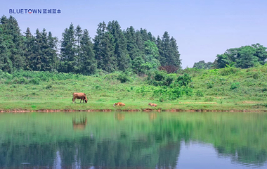 蓝城桃花源旅游度假小镇第 1 张图片