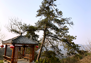 古孝感乡都生态旅游度假村第 16 张图片