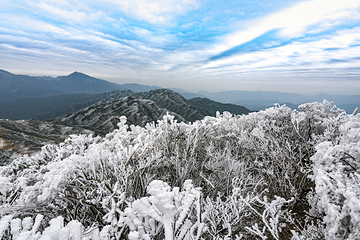 皇后山生态旅游度假区第 6 张图片