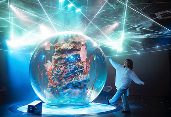 神户都市型水族馆 AQUARIUM×ART átoa第 38 张图片