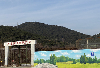 大连狮虎园第 7 张图片