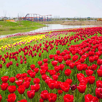 沔州百万花海风景区