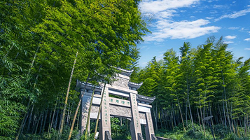 茶山竹海