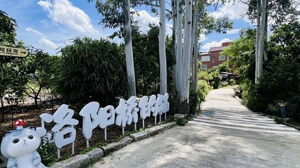 洛阳桥的猫第 1 张图片