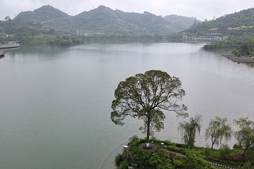 新蒲湿地公园第 48 张图片