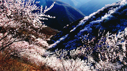 翠枫山自然风景区第 54 张图片