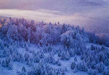 长白山仙峰雪岭景区第 64 张图片