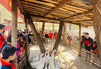 南漳印象老家旅游景区第 9 张图片
