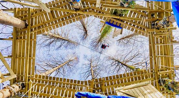 TREE TO TREE萃萃树探险乐园