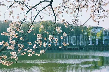 长沙乐林游乐园第 48 张图片