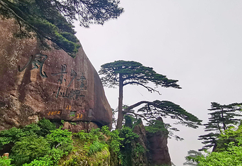 黄山风景区第 345 张图片