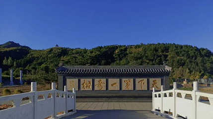 九龙松第 1 张图片