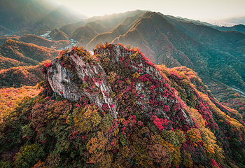 老君山景区第 56 张图片