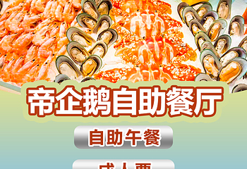 珠海长隆企鹅酒店•帝企鹅自助餐厅•儿童岛•真企鹅第 34 张图片