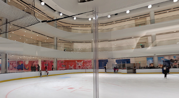 The Rink @ The Arena