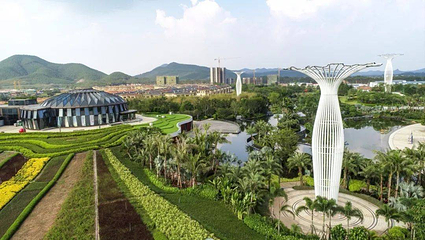 肇庆恒大梦幻奇趣园第 1 张图片