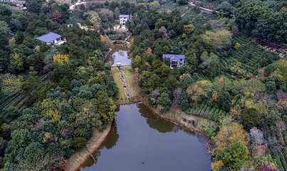 花乡茶谷旅游景区第 65 张图片