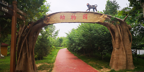蓟州区人民公园第 44 张图片