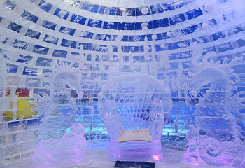 梅山湾冰雪大世界第 49 张图片