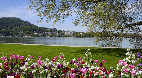 安纳西欧洲花园