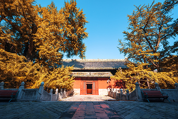 大觉寺第 1 张图片