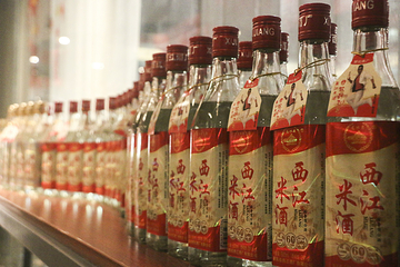 西江酒文化展馆第 14 张图片