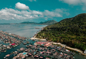 南湾猴岛生态旅游区第 28 张图片