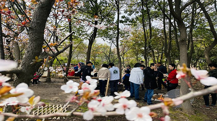 地心部落第 26 张图片