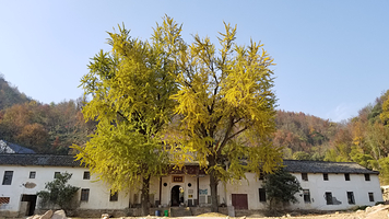 大龙山乌龙溪景区